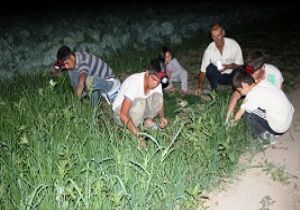 Üreticinin başka çaresi yok...!